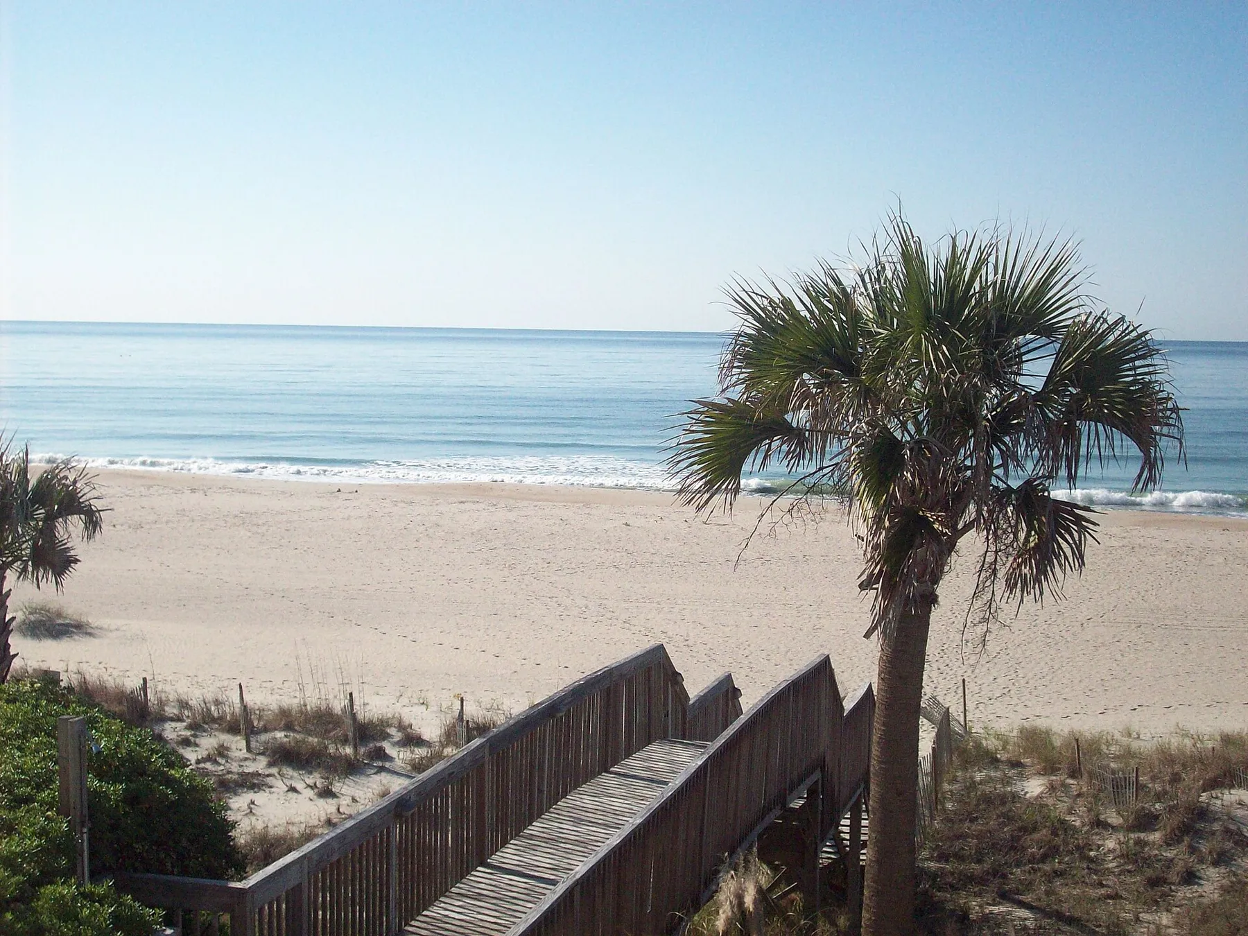 A wooden beach walkway and a palmetto tree above a wide, empty Ocean Isle Beach on a clear morning