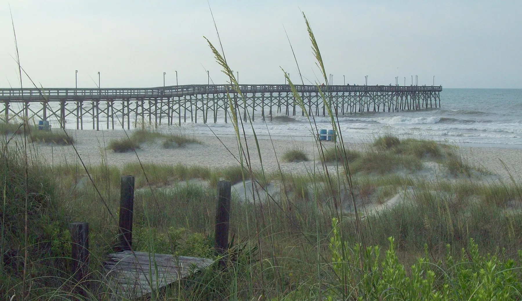 The Ocean Isle Beach fishing pier seen through sea oats on the dune