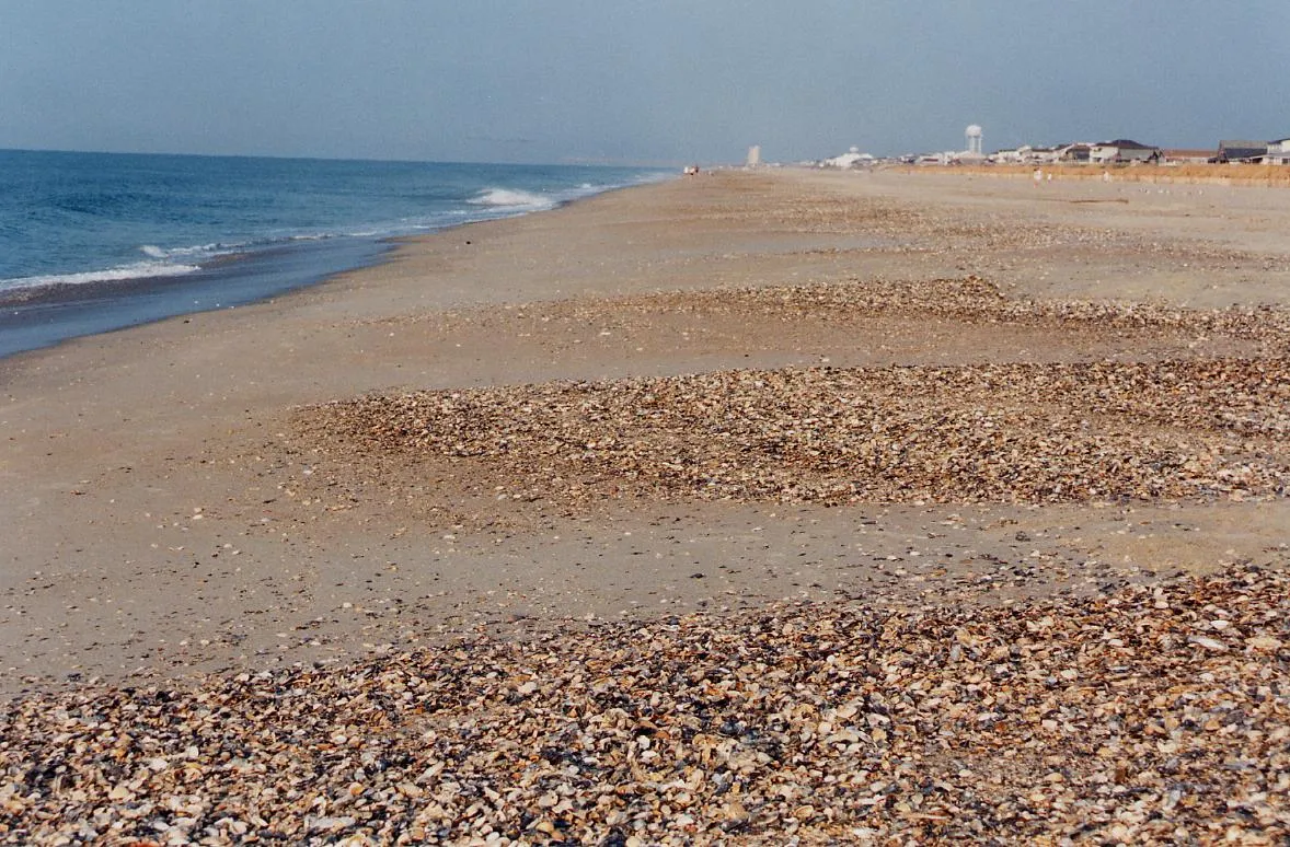 Shells spread along the wide beach at Ocean Isle after a storm